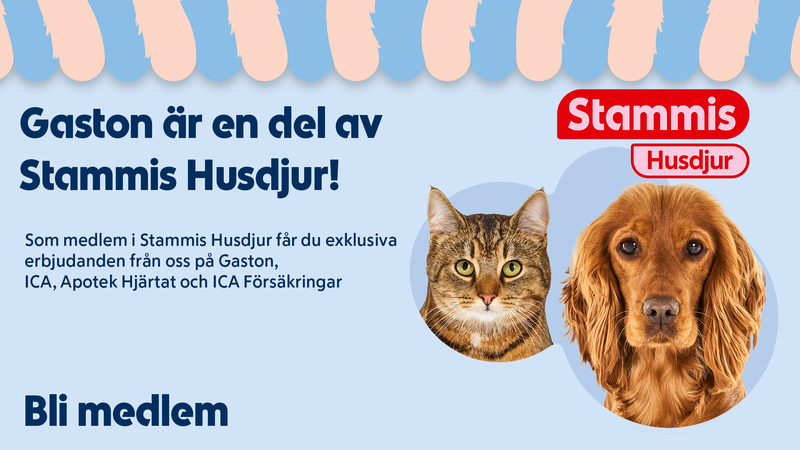 Gaston – Djurbutik & Husdjursklubb | ICA-familjen