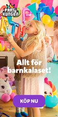 Partykungen – Nordens Största Festbutik