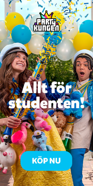 Partykungen – Nordens Största Festbutik
