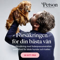 Petson – Hundförsäkringen där Kunskap Lönar Sig